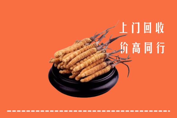 高价求购：武夷山市回收散虫草