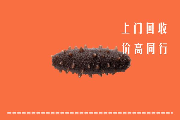 高价求购：武夷山市回收海参