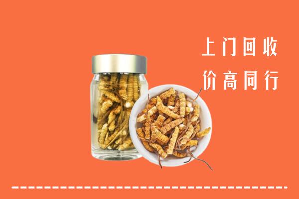 武夷山市回收冬虫夏草
