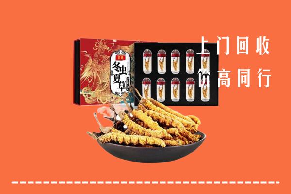 武夷山市回收虫草